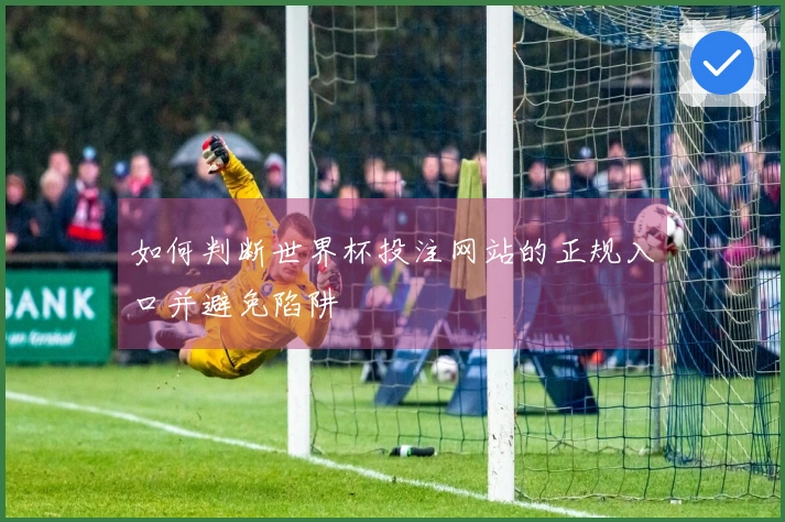 如何判断世界杯投注网站的正规入口并避免陷阱